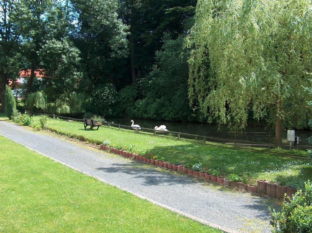 Landhotel & Restaurant Gutsherrn-Klause Dankerode  Bagian luar foto